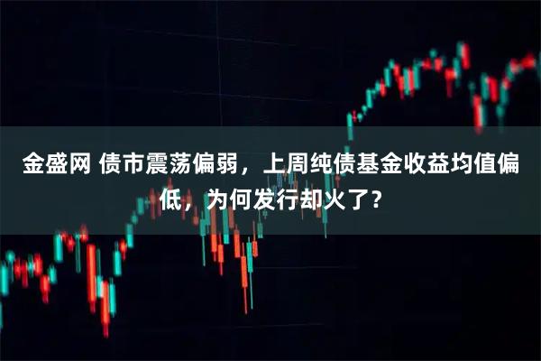 金盛网 债市震荡偏弱，上周纯债基金收益均值偏低，为何发行却火了？